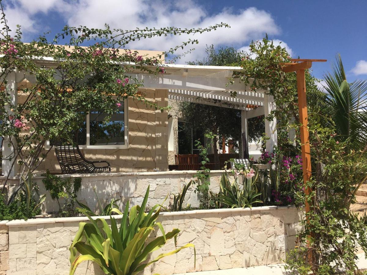 Am De Chaves, Sal Rei, Boa Vista *