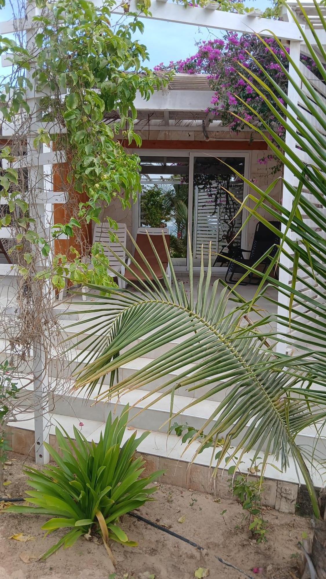 Am De Chaves, Sal Rei, Boa Vista